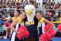 1011_HC_(16)-21