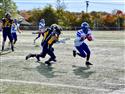 DSC_0198(3)-39