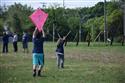 DSC_0743(2)-10