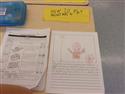 Forest_Avenue_Second_Graders_(26)-26
