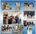 IMG-3794-5