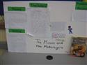 IMG_0073-9