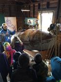 IMG_2604-9