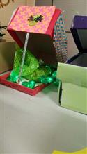 Leprechaun_traps_5-5
