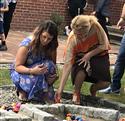 Rock_garden_6-7