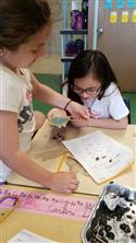 owl_pellet_CarDestiny-9