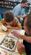 owl_pellet_owen-12