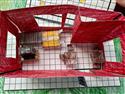 tiny_town_5-3